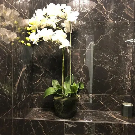 Hotell Boutique Bacvice Split