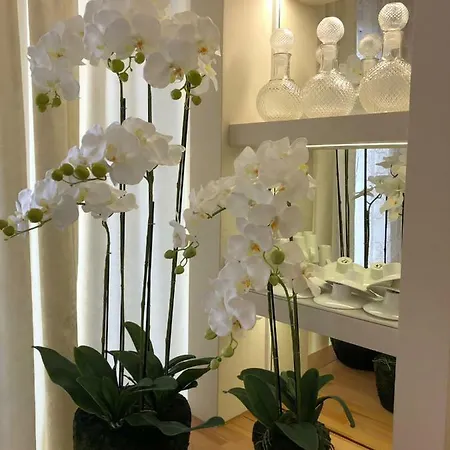 Hotell Boutique Bacvice