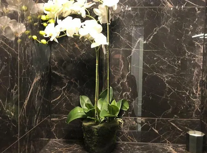 Hotell Boutique Bacvice Split