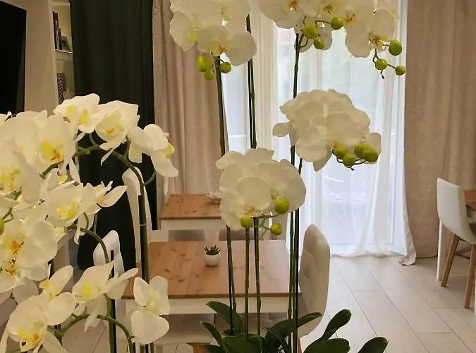Boutique Bacvice 4*