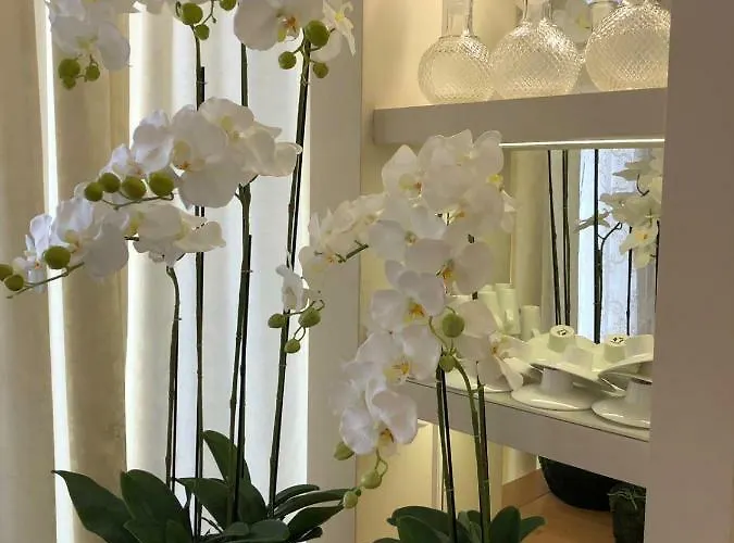 Hotell Boutique Bacvice