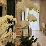 Boutique Bacvice 4*