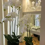 Hotel Boutique Bacvice